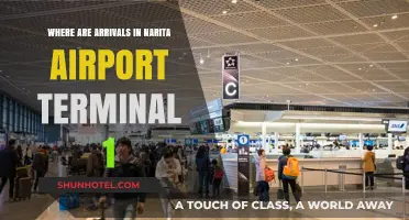 Navigating Narita: A Guide to Arrivals at Terminal 1