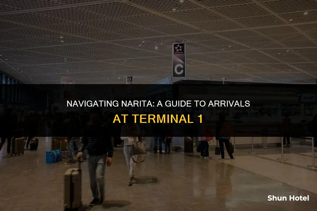 where are arrivals in narita airport terminal 1
