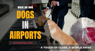 Drug Dog Deployment: Airport Sniffing Operations
