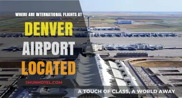 Navigating Denver Airport: Locating International Flights Terminal Guide