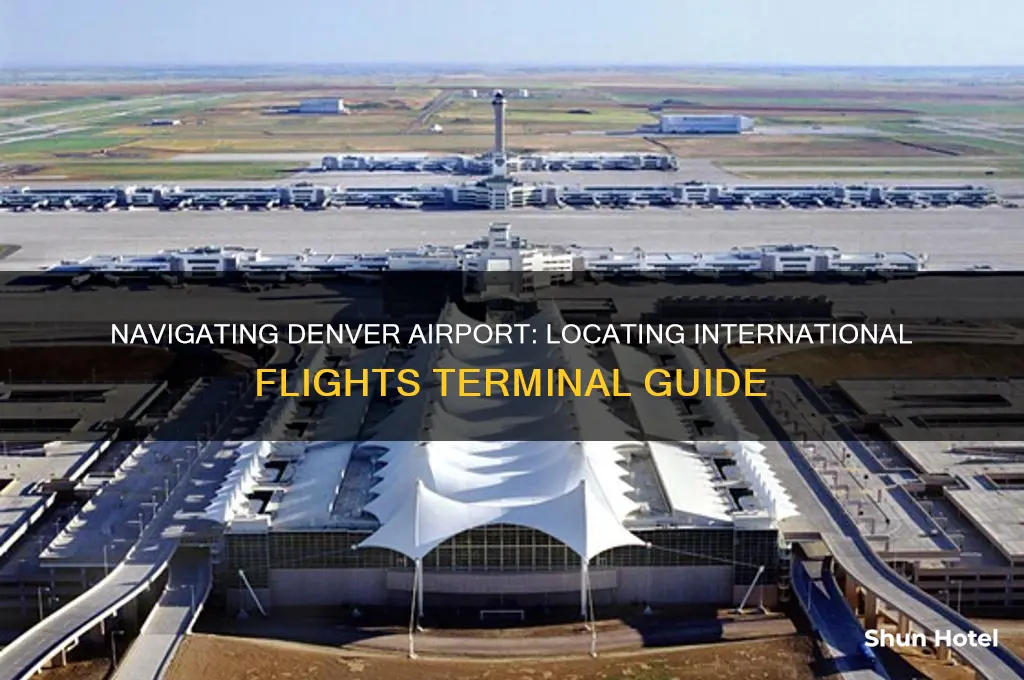 where are international flights at denver airport located