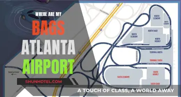Atlanta Airport: Baggage Claim Blues