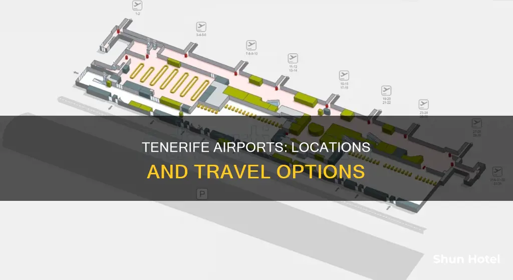 where are the airports in tenerife