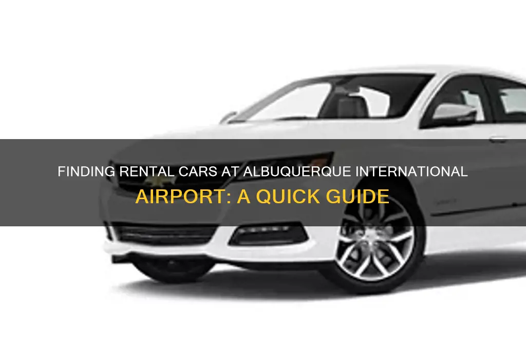 where are the retal cars at albuquerque international airport