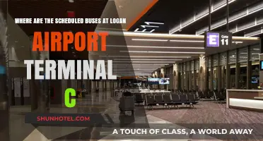 Navigating Logan Airport: Terminal C Bus Schedule Explained