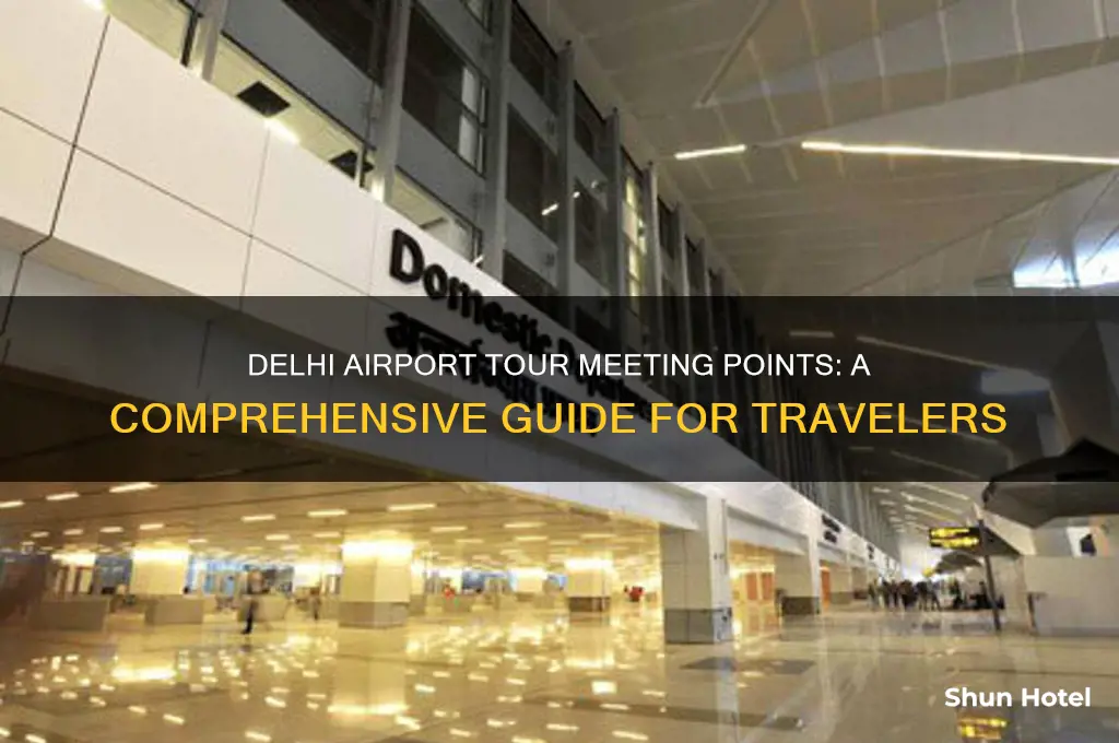 where are tours meet at delhi international airport