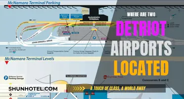 Detroit's Two Airports: Location and Accessibility
