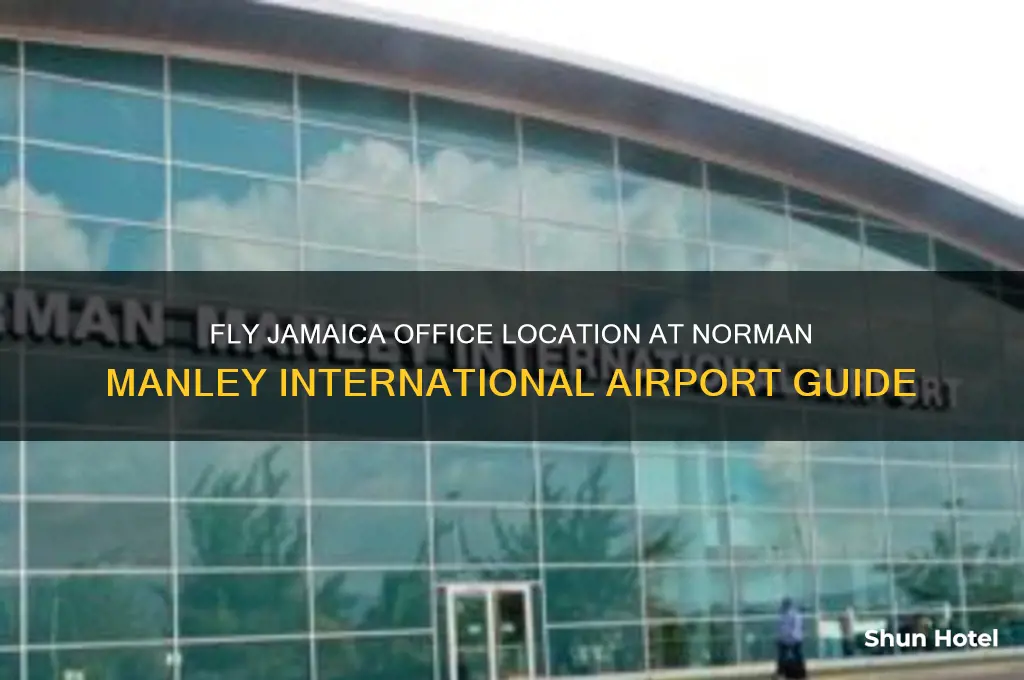 where at ogle airport is fly jamaica office located