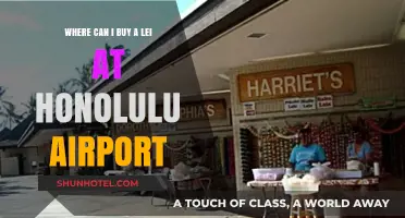 Honolulu Airport Lei Greetings: Where to Buy?