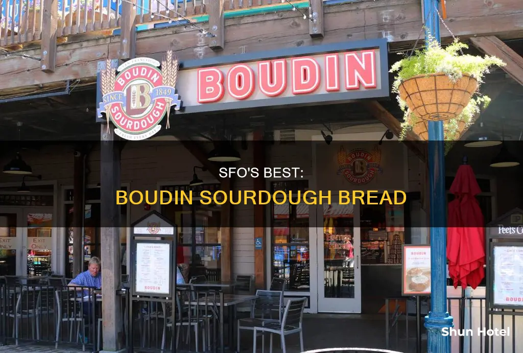 where can i buy boudin sourdough bread at sfo airport