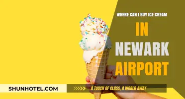 Ice Cream at Newark Airport: Where to Buy?