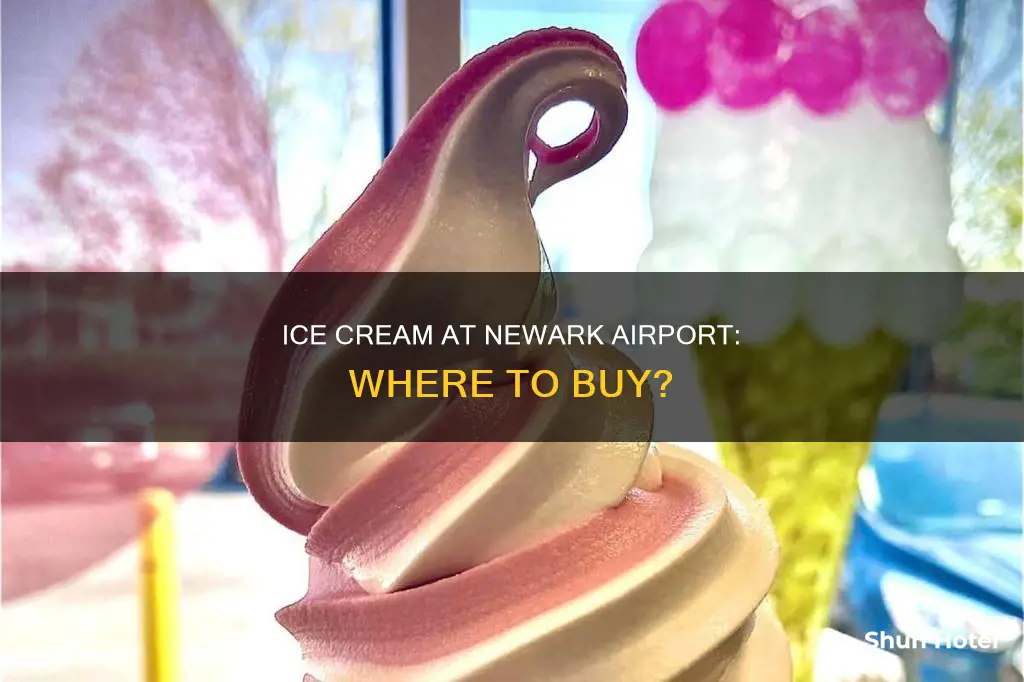 where can i buy ice cream in newark airport