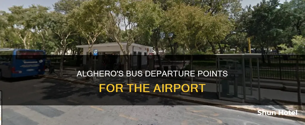 where can i catch bus to airport in alghero