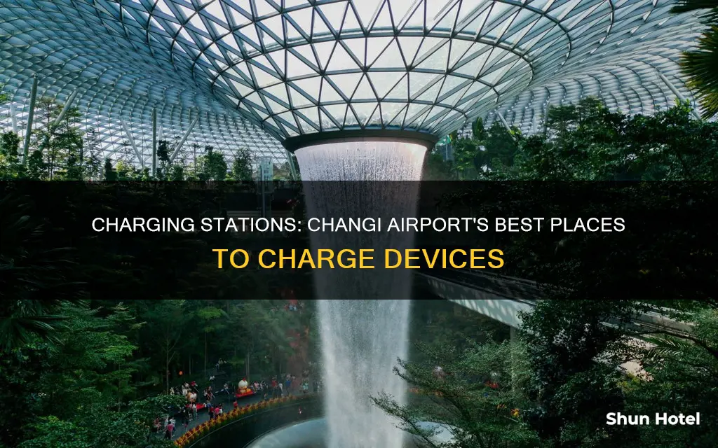 where can i charge my laptop in changi airport