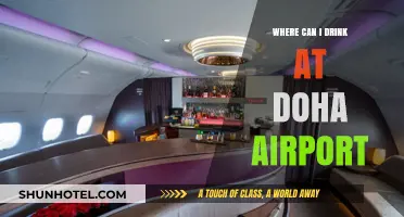 Doha Airport Drinking Spots: Where to Unwind