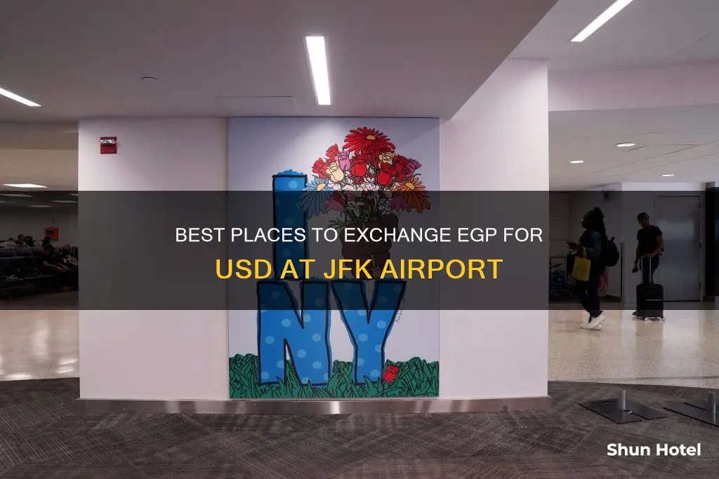 where can i exchange egp for usd at jfk airport