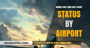 Finding Past Flight Status: Airport Lookup