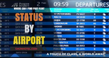Past Flight Status: Airport Lookup