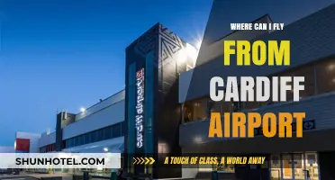 Explore Cardiff Airport's Top International Destinations