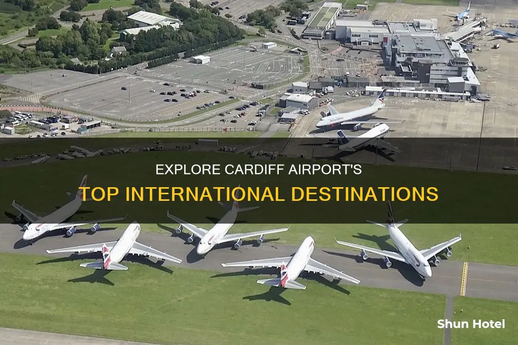 where can i fly from cardiff airport
