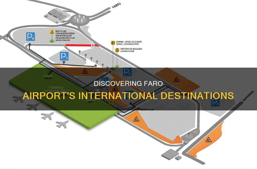 where can i fly to from faro airport