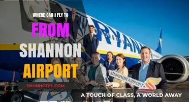 Shannon Airport: Explore Direct Flights to North America and Beyond