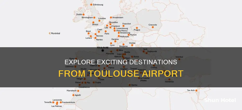 where can i fly to from toulouse airport