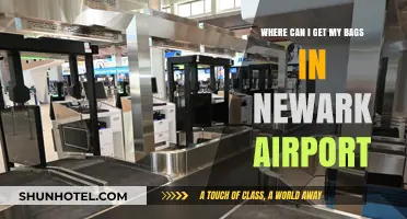 Newark Airport Baggage Claim: A Guide to Retrieving Your Luggage