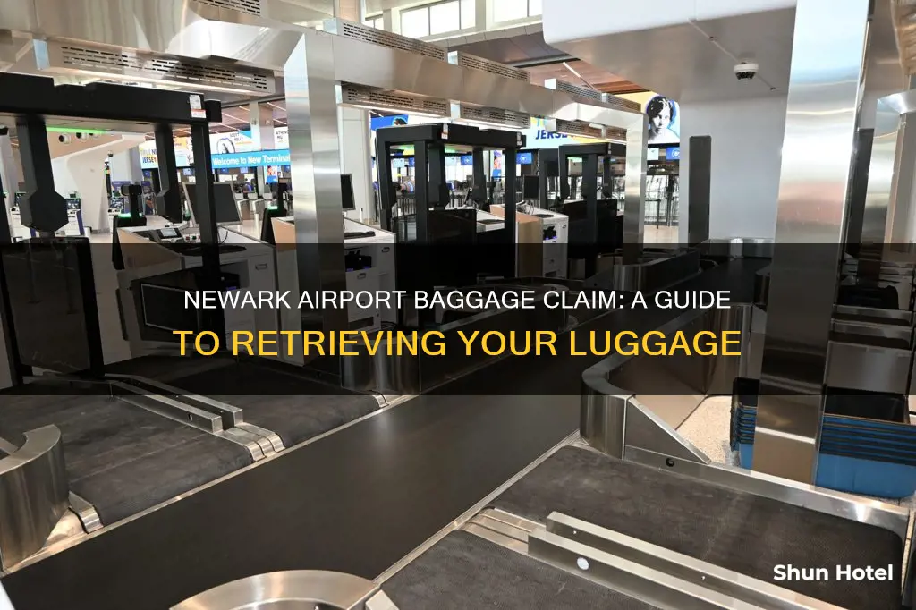 where can i get my bags in newark airport