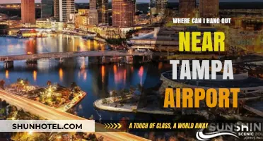 Explore Tampa Airport's Hangout Spots