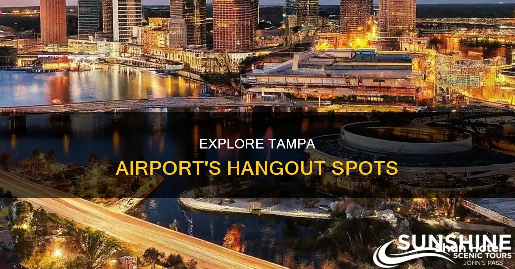 where can i hang out near tampa airport