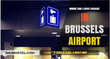 Leave Luggage at Brussels Airport: Options and Locations