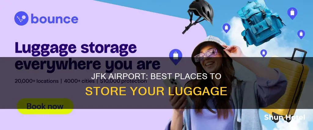 where can i leave my luggage at jfk airport