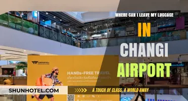 Changi Airport: Luggage Storage Options
