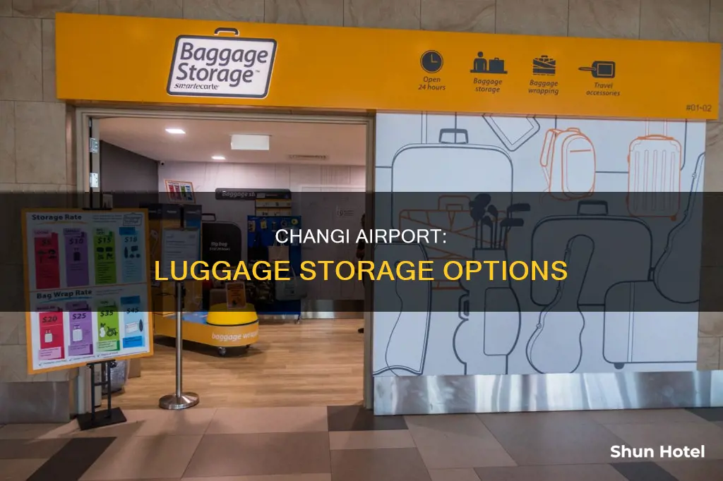 where can i leave my luggage in changi airport