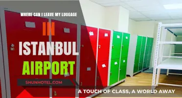Istanbul Airport: Luggage Storage Options and Solutions