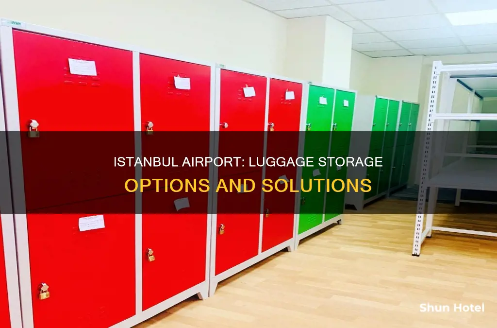 where can i leave my luggage in istanbul airport