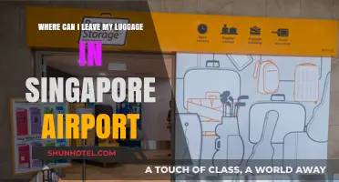 Singapore Airport: Luggage Storage Options