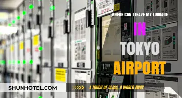 Exploring Tokyo Airport's Left Luggage Options