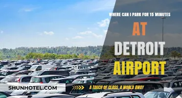 Quick Parking at Detroit Airport: 15-Minute Options
