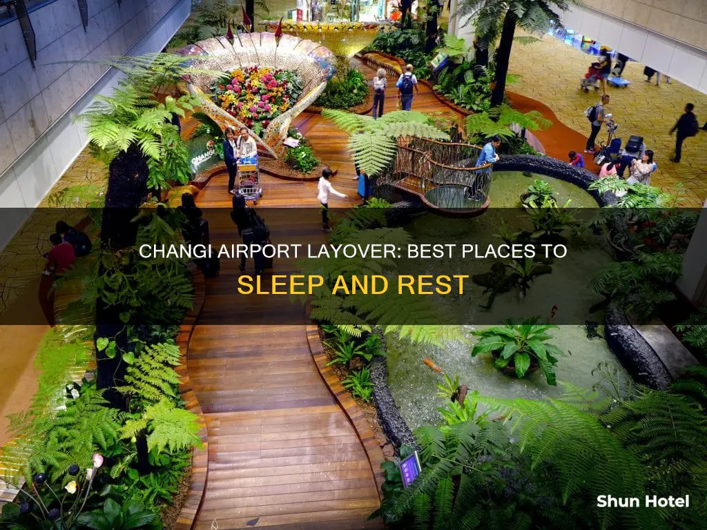 where can i sleep in changi airport layover