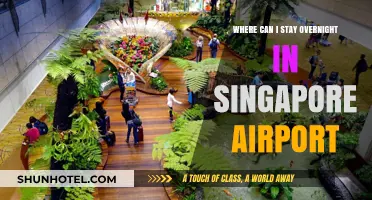 Singapore Airport: Overnight Stay Options