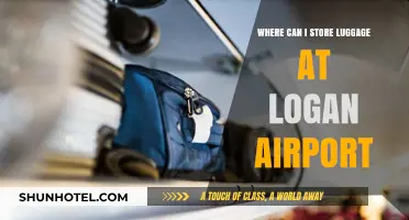 Logan Airport: Best Places to Store Your Luggage