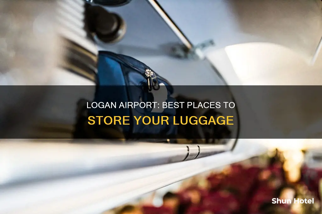 where can i store luggage at logan airport