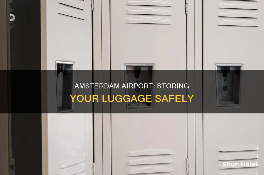 where can i store my luggage in amsterdam airport