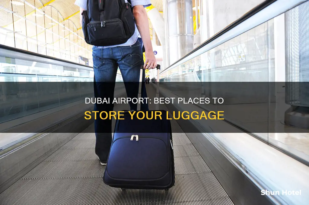 where can i store my luggage in dubai airport