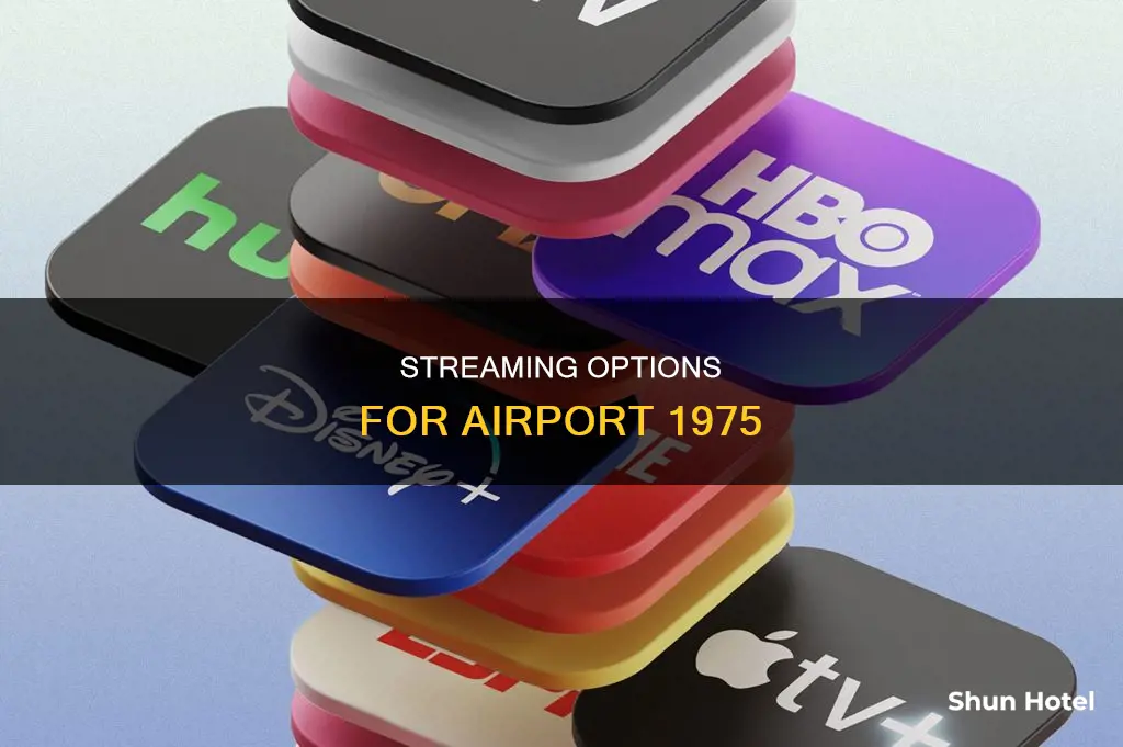 where can i watch airport 1975