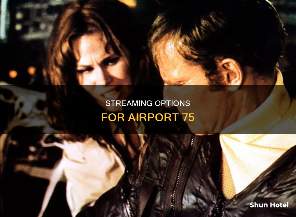 where can i watch airport 75