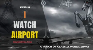 Streaming Options for 'Airport' Series and Films