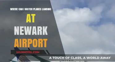 Newark Airport: Best Spots to Watch Planes Landing